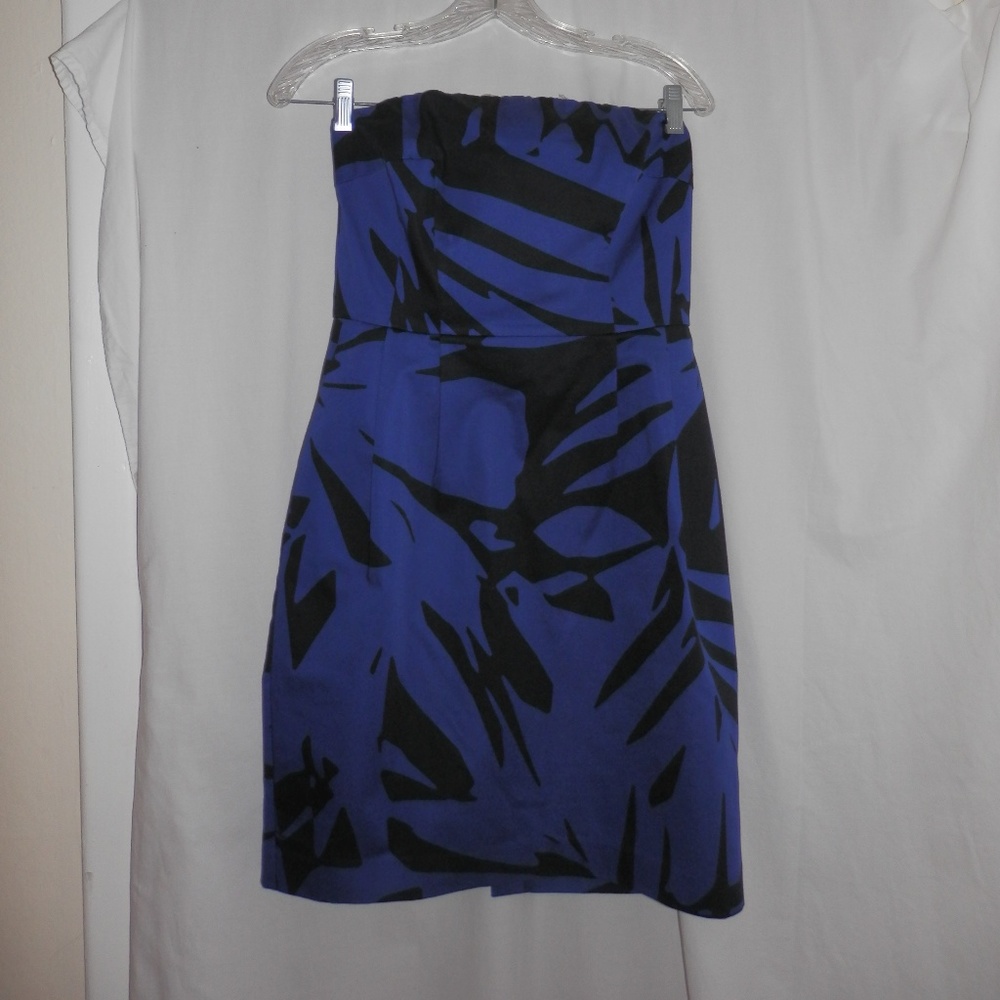 NWT  Strapless Dress